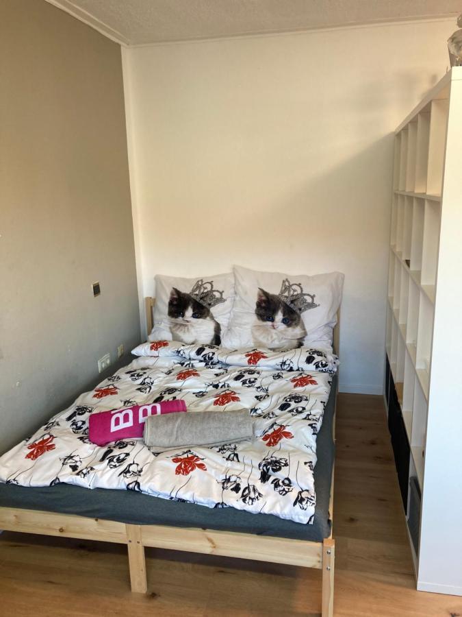 Privatzimmer In Muenchen Zentrum 외부 사진
